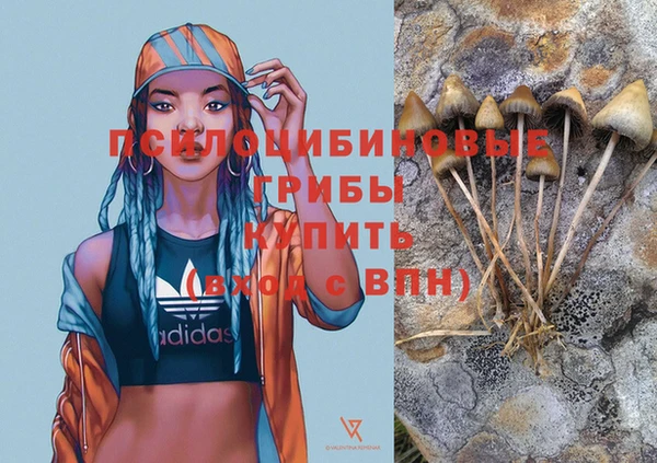 первитин Армянск